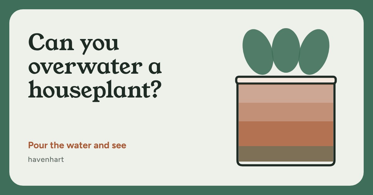 A cross-section of a plant pot with soil getting wetter toward the bottom, under three green leaves