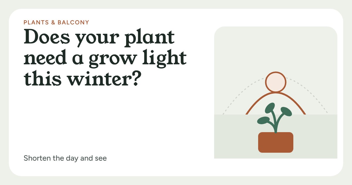 A sun arc over a small potted plant, the arc shortened for winter