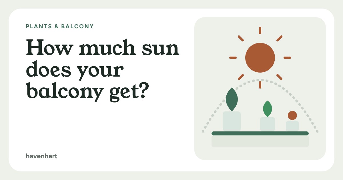 Illustration of a bright sun arcing over three potted plants on a balcony ledge