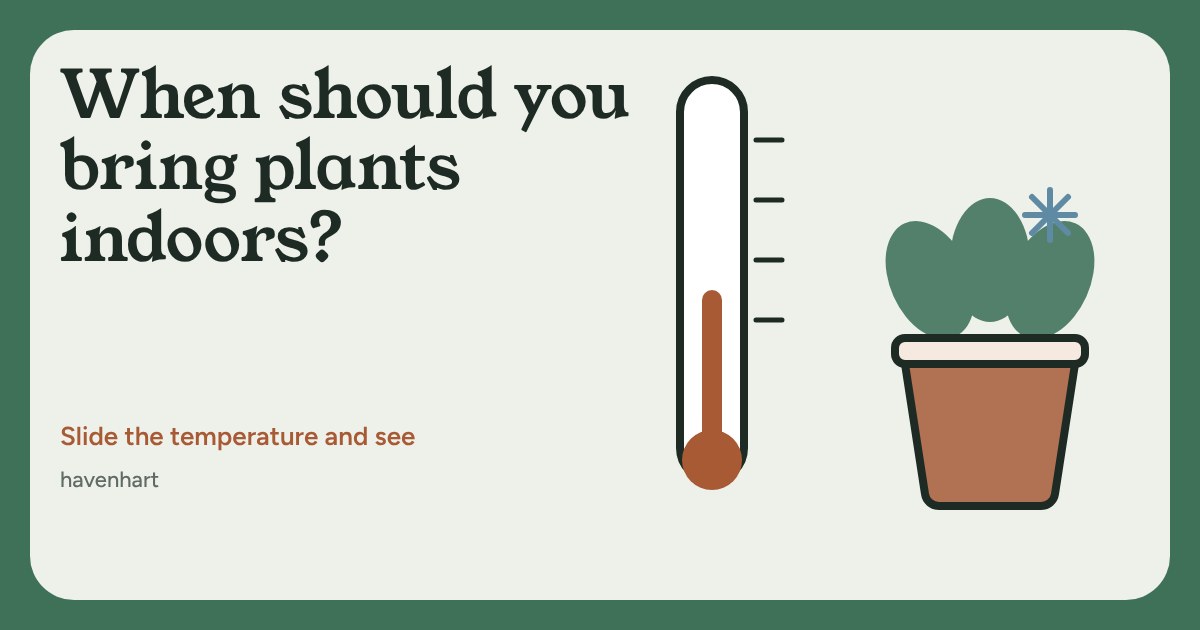 A thermometer next to a green potted plant with a small snowflake, showing a cold night for balcony plants